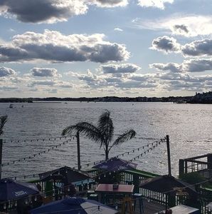 Meet your Posher, Dennis